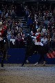 Cavalry - 00155